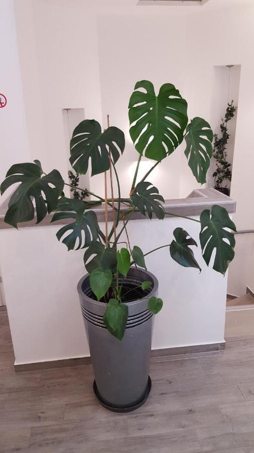 Centar Vodice Apartmani Esterno foto